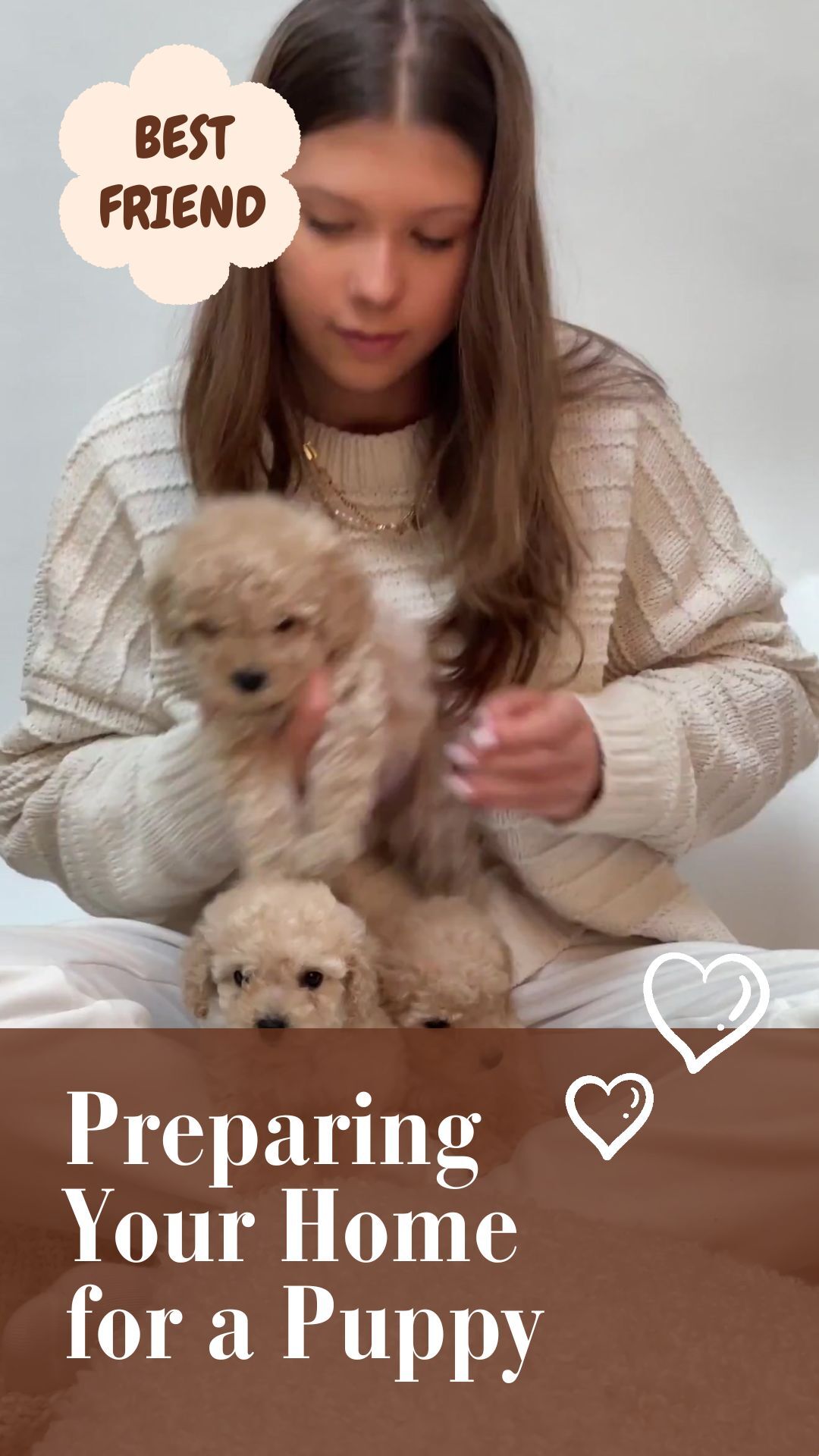 Pets